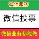 惠州专业网络微信投票公司推荐