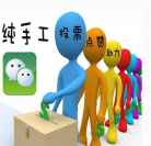 河南郑州人工投票平台及微信公众号投票群相关说明